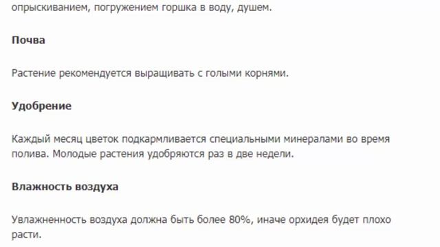 Ванда Бьюти Фуксия смотреть онлайн