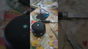 Обзор на капсулу нео ВК Маруся колонка умная колонка как пользоваться колонкой