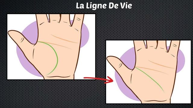 20 Choses Que La Paume De Votre Main Révèle Sur Vous смотреть онлайн