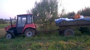 МТЗ 320.4 з причепом.