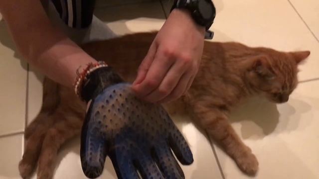 Перчатка для расчесывания животных - Pet Brush Glove смотреть онлайн