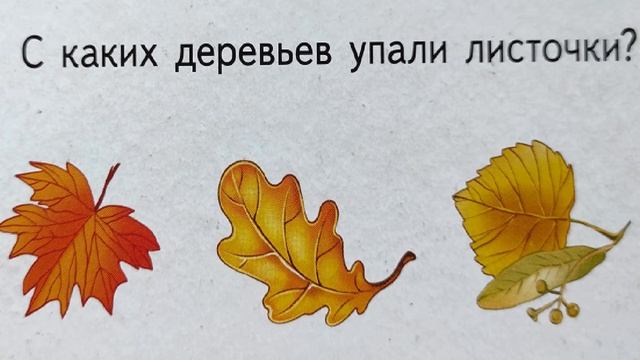 УЧИМ ВРЕМЕНА ГОДА. ОБУЧАЛКА-РАЗВИВАШКА смотреть онлайн