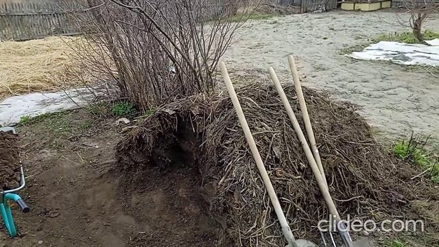 3 мая День удобрения, Делаем грядку. И первая Редиска смотреть онлайн