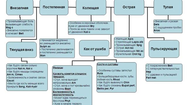 6. Классическая гомеопатия. Выход на конституцию. Характеристика боли. смотреть онлайн