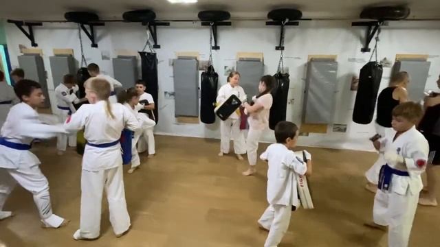 Тренировка старшей группы 04 сентября 2023 года. Киокусинкай каратэ в Климовске на Западной 12. смотреть онлайн