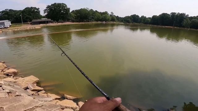 Monster Bluegill (Gulp Alive minnow) смотреть онлайн