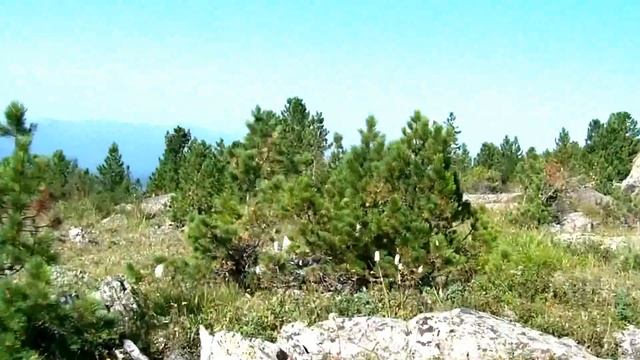 Чарышские горы смотреть онлайн