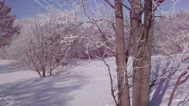 1 марта . Первый весенний день! ))) смотреть онлайн