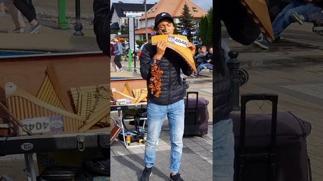 Cristofer 2020 Game Of Thrones I (12) (I hope the wind doesn't bother you to listen) 4k смотреть онлайн