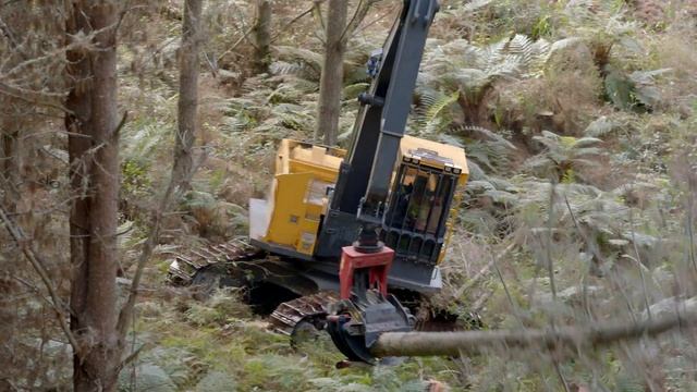 On the job with BRC Logging and TransDiesel смотреть онлайн