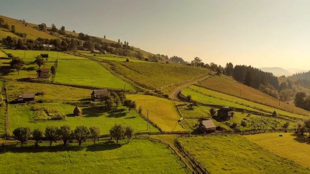 Неожиданная НАХОДКА ждала хозяев сарая. Старый кот приютил целый выводок! смотреть онлайн