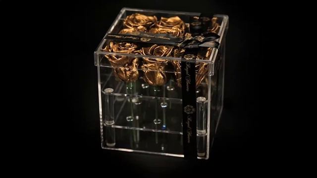 Preserved Roses - Sleeping roses clear gold | Flower Delivery in Cork смотреть онлайн