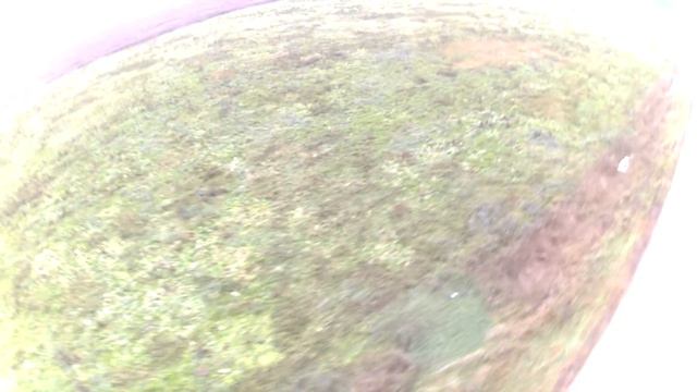 Коптер в Вараксино смотреть онлайн