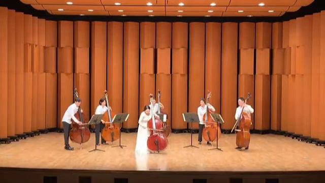 Kontrabass Ensemble Solo G.Bottesini - La Sonambula смотреть онлайн