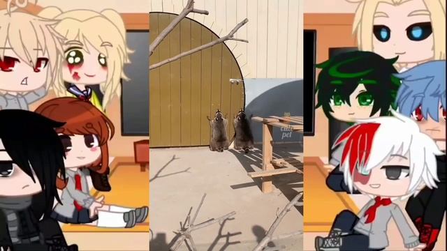 MHA/BNHA Character React to Deku's Pets +more/Deku/Viral/Funny Trending Tiktok/BNHA/Gacha Club #62 смотреть онлайн