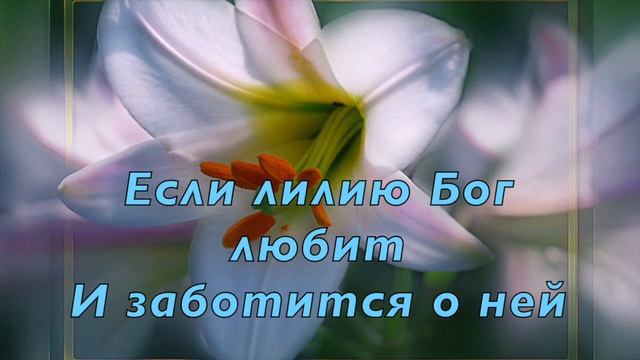 Если лилию Бог любит смотреть онлайн