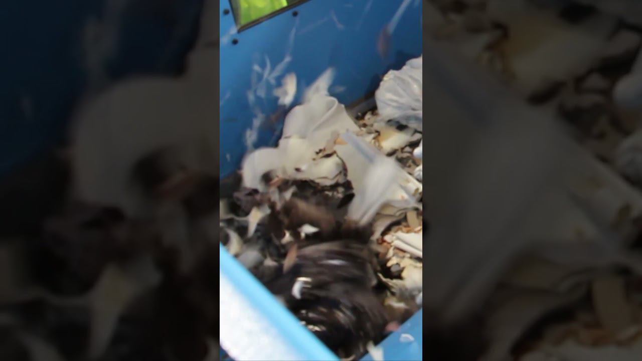 Шредер для литника | Шредер одновальный PZO SHR 800 n37 смотреть онлайн