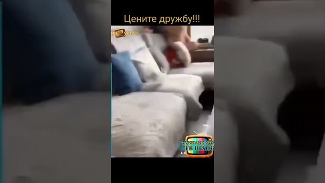 О дружбе !!! #шутки #шутники #улетноевидео #юмор #смешныевидео #приколы смотреть онлайн