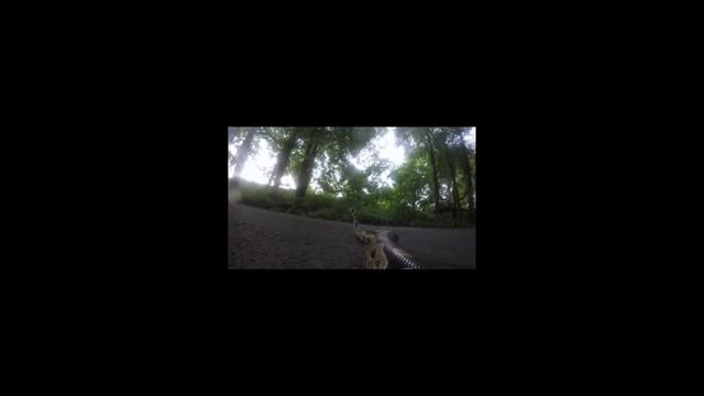 Python with a Gopro смотреть онлайн
