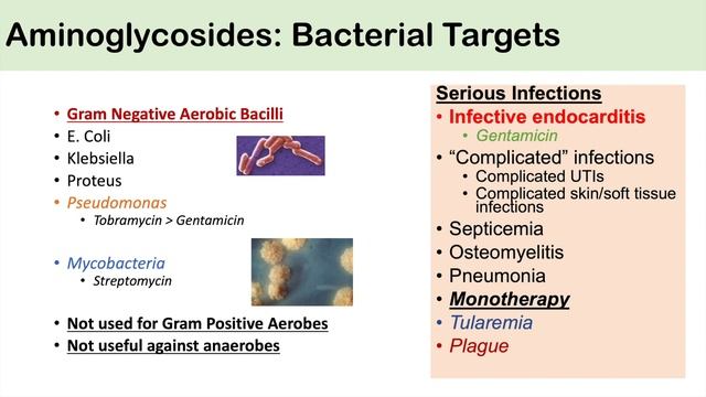 Aminoglycosides | Bacterial Targets, Mechanism of Action, Side Effects смотреть онлайн
