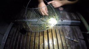 ГДЕ СТАВИТЬ РАКОЛОВКИ НОЧЬЮ. НА ЧТО ЛОВИТСЯ КРУПНЫЙ РАК. Продажа раколовок.