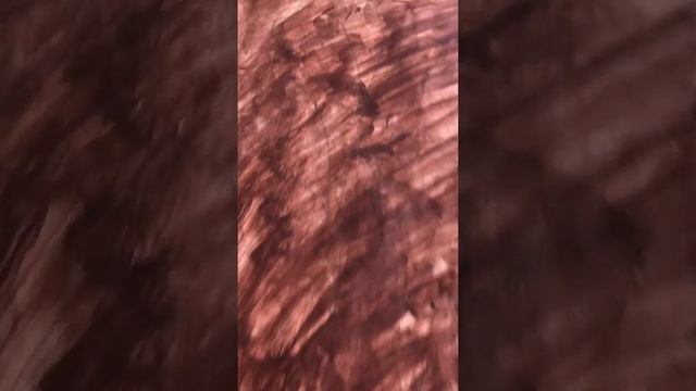 Рисуем колосок #рисование #мольберт #холст #легко #быстро смотреть онлайн