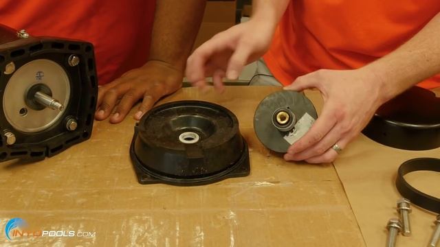How To: Replace a pool pump motor shaft seal смотреть онлайн