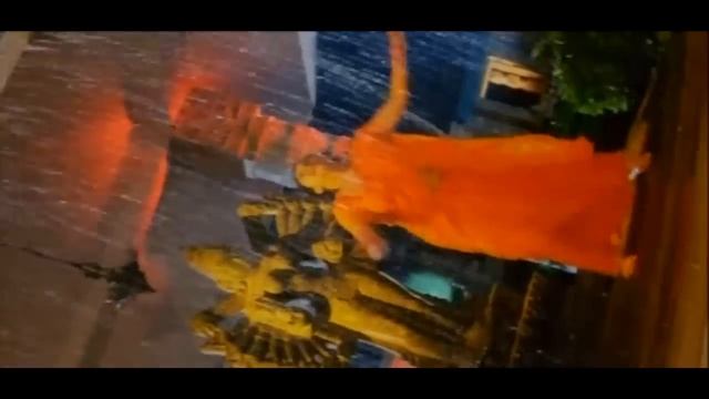 Митхун Чакраборти-индийский фильм:Бенгальский тигр /Bengal Tiger(2001г)