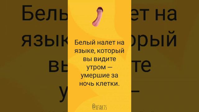 Налёт на языке смотреть онлайн