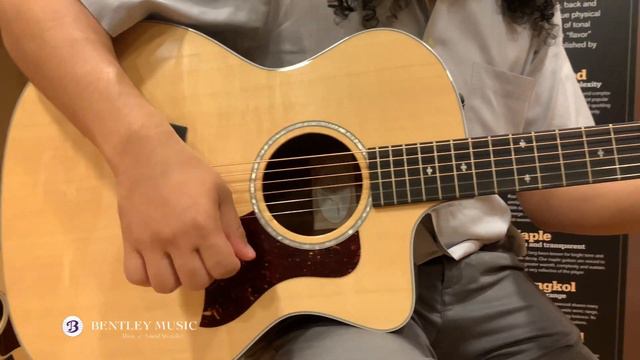 Taylor Academy, 100 and 200 Series смотреть онлайн