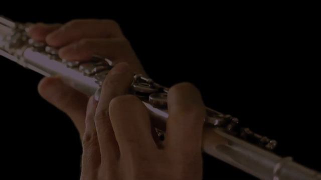 FiszPicó® key. The F#3 facilitator on the Boehm flute. смотреть онлайн