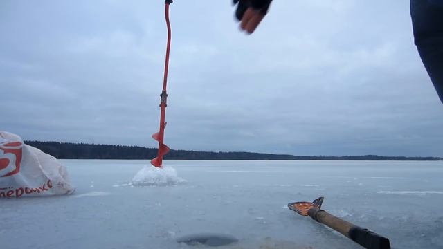 Подлещик на Красногвардейском озере. Зимняя рыбалка на подлещика смотреть онлайн