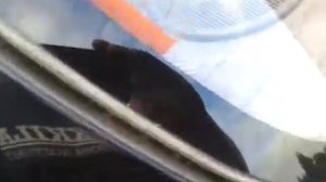 Ланос .Исправляем протечку уплотнителя стекла.Часть 1