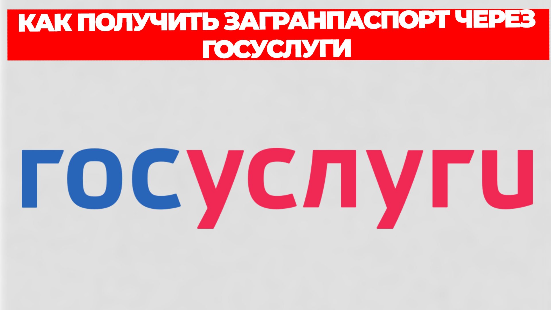 Всезнающий Енот