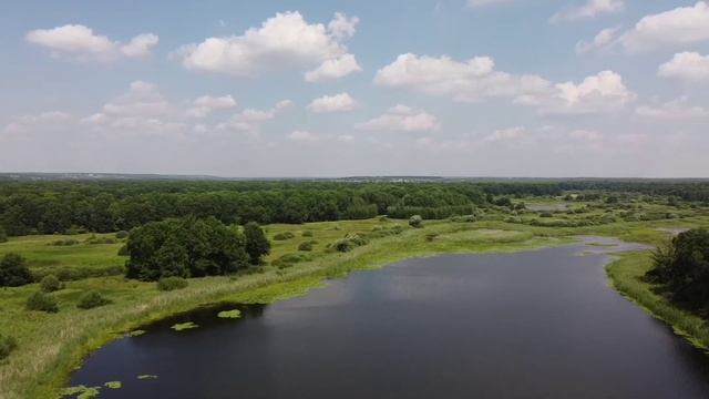 Воронеж. Черное озеро. SUP прогулка. смотреть онлайн