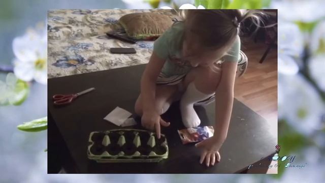 "В гости к нам пришла весна" Дистанционный проект ,2 гр. , МДОУ №64 "Непоседа" смотреть онлайн