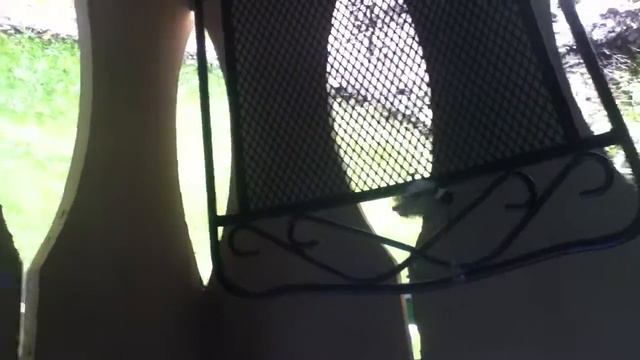 птенец упал к нам на балкон