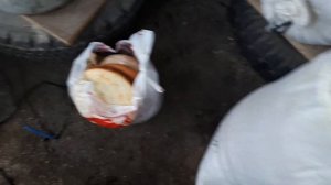 Содержание и разведение свиней. Состав комбикорма для свиней. Поросята.