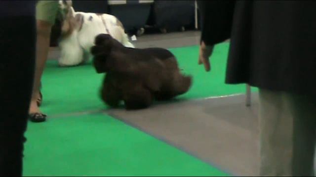 junior female 2 смотреть онлайн
