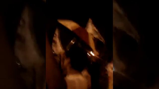 LOS PATHOS AKI EN EL BANDERAZO (U) ...2 смотреть онлайн