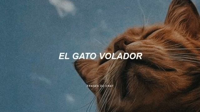 El Chombo - El Gato Volador (Letra) смотреть онлайн