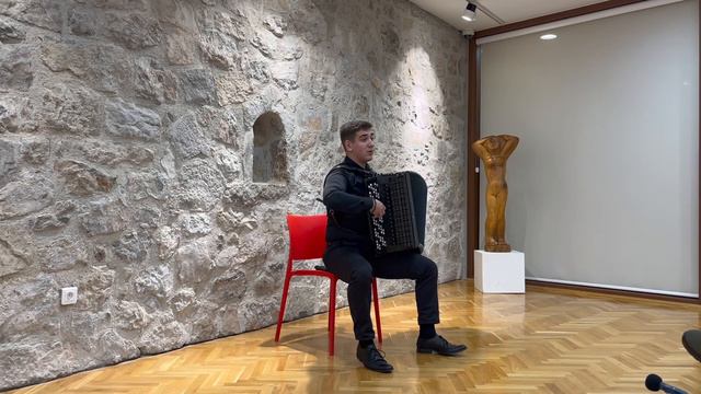 Lazar Janjušević/Petar Balaban - Concert смотреть онлайн
