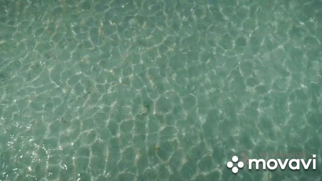 Красивая музыка подарит море наслаждения!?Волны релакса унесут в мир беззаботности и блаженства!? смотреть онлайн