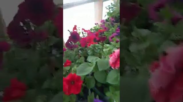 май 2021 год .