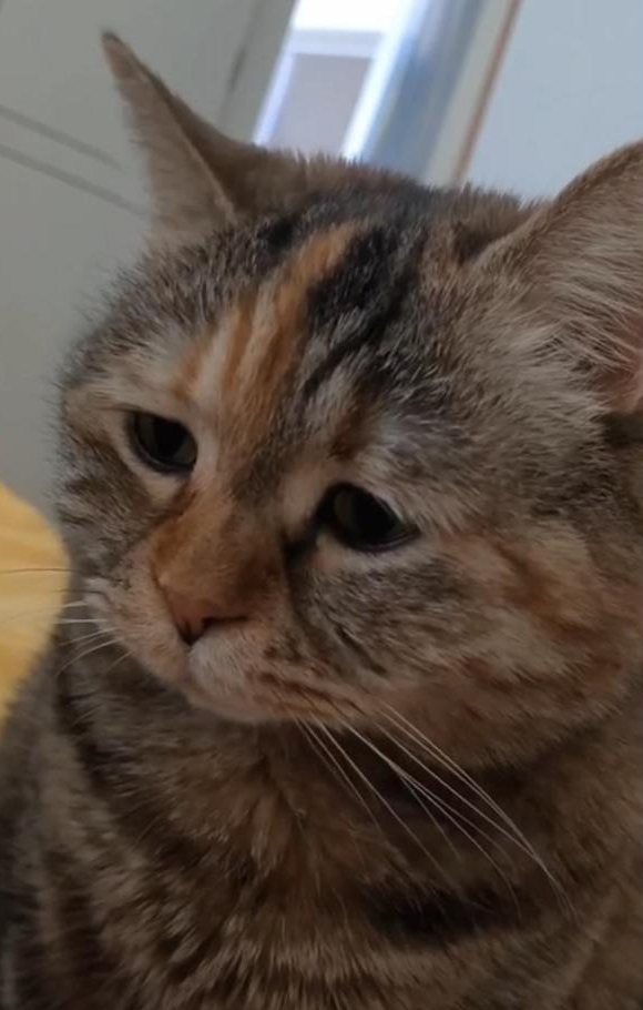 Я грустный...Потому что грустный.  Подборка смешно видео №3