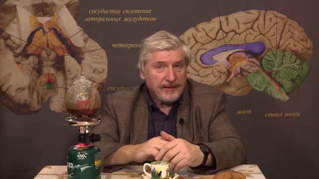 С. Савельев Бессмертие невозможно смотреть онлайн