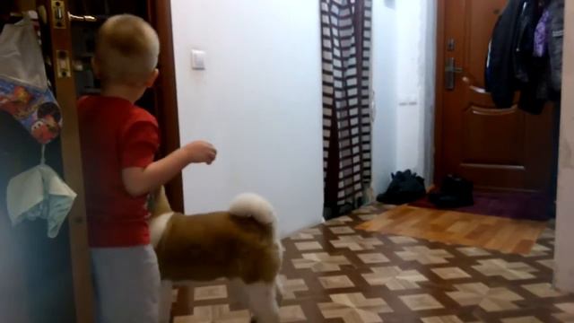 отжимает игрушку смотреть онлайн