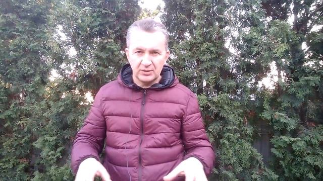 Делаем первые шаги в виноградарстве: особенности посадки куста смотреть онлайн