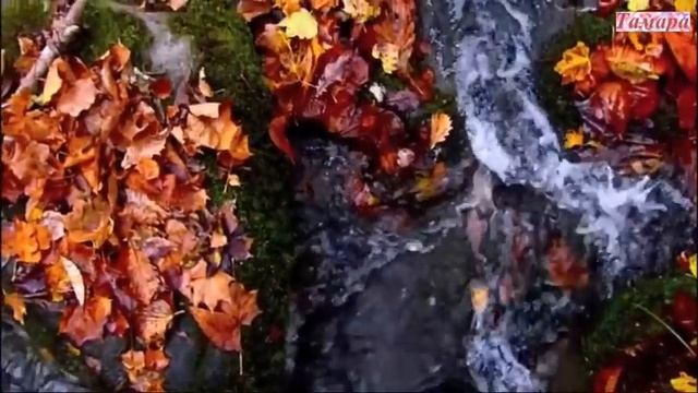 Осенняя метель---Сергей Чекалин смотреть онлайн