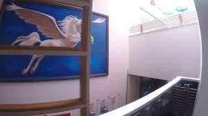 Обзор отеля Pegasus Club Турция